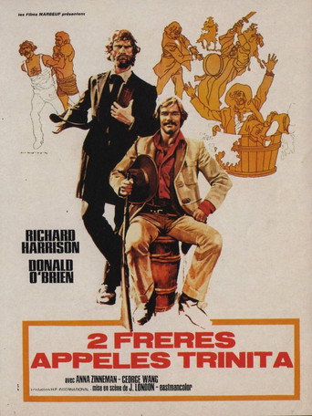 Regarder 2 frères appelés Trinita en streaming complet